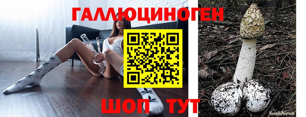 Спасск-Дальний  Галлюциногенные грибы Psilocybe  Вход с VPN 