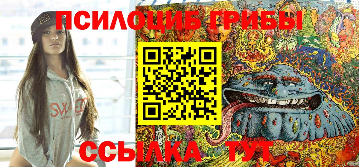 Псилоцибиновые грибы Cubensis Спасск-Дальний